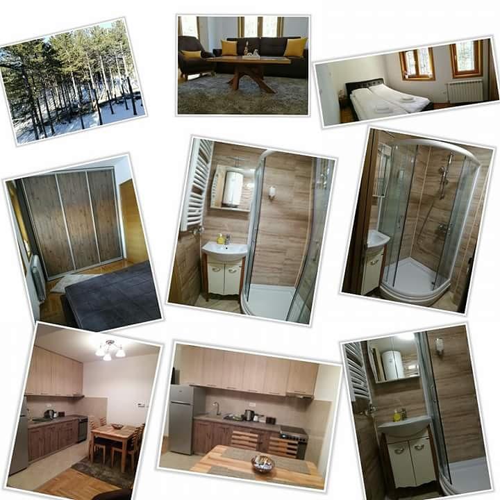 Apartment Monika 兹拉蒂博尔 外观 照片